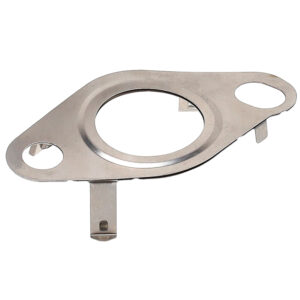 Gasket for EGR valve