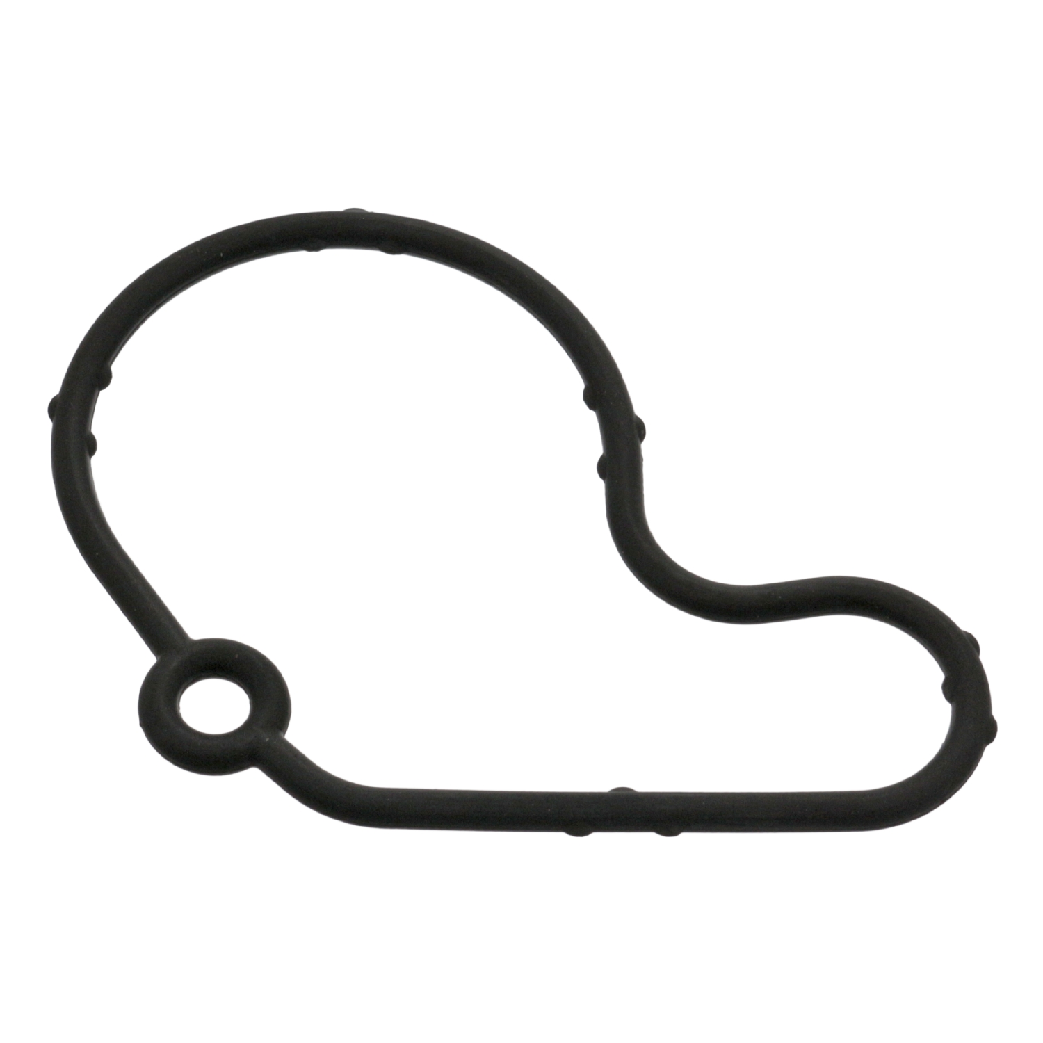Gasket for vacuum pump at timing case