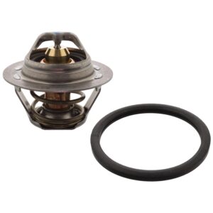 Thermostat with gasket
