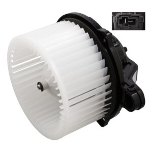 Interior Fan Assembly