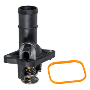 Thermostat with housing, seal and temperature switch