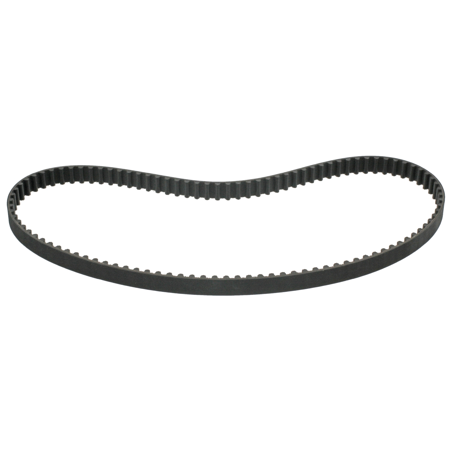 Timing Belt