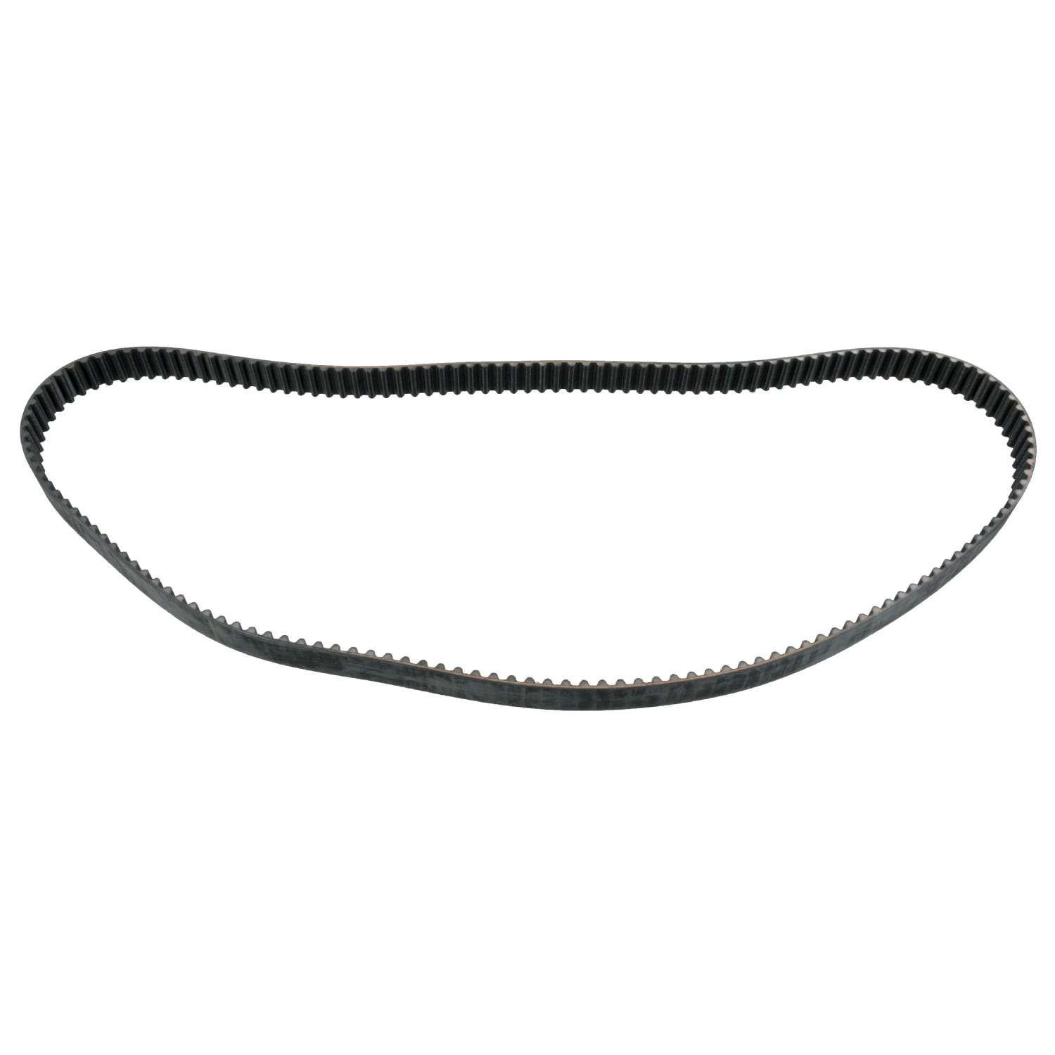 Timing Belt