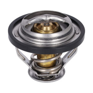 Thermostat with sealing ring