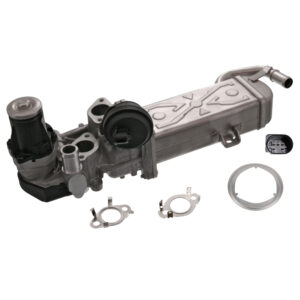 EGR Module with gaskets