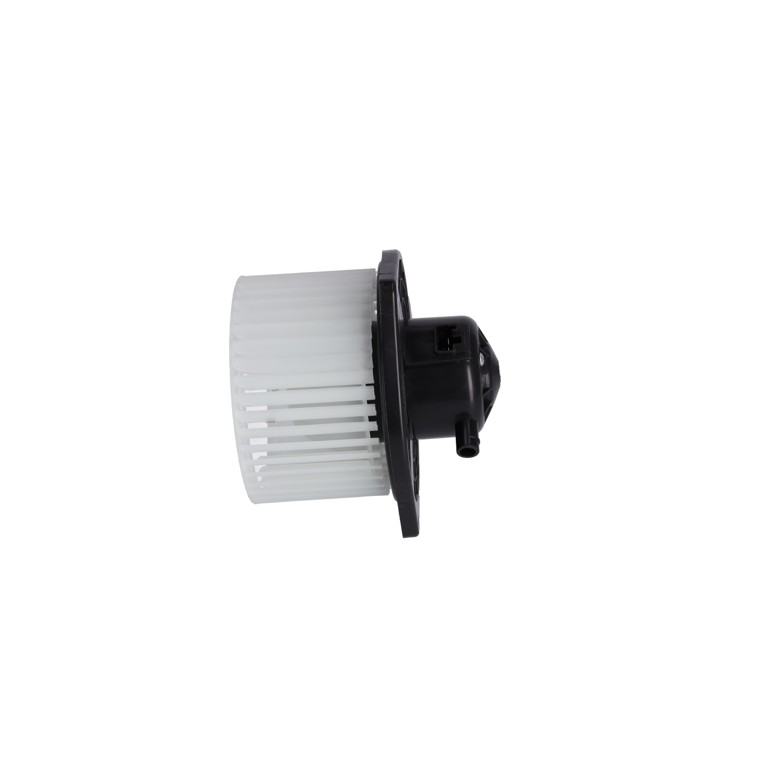 Interior Fan Assembly