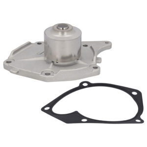 Water Pump with gasket