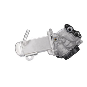 EGR Module with gaskets