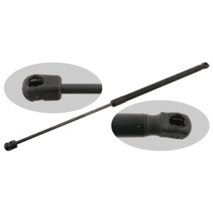 Gas Spring for tailgate