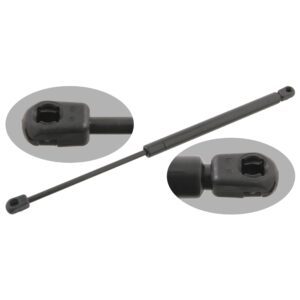 Gas Spring for tailgate
