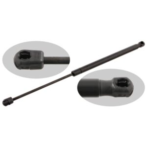 Gas Spring for tailgate