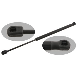 Gas Spring for tailgate