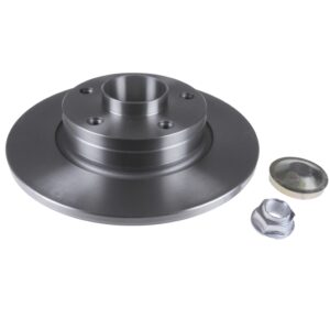 Brake Disc with wheel bearing, ABS sensor ring, axle nut and dust cap