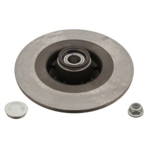 Brake Disc with wheel bearing, ABS sensor ring, axle nut and dust cap