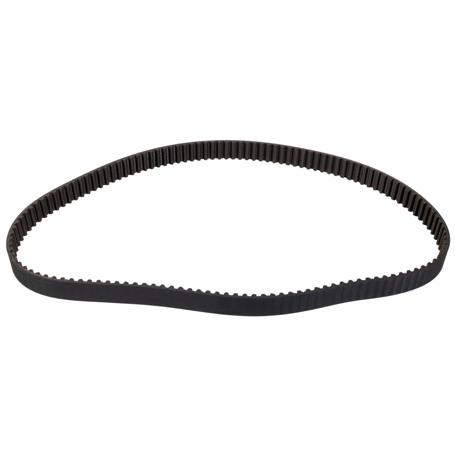 Timing Belt