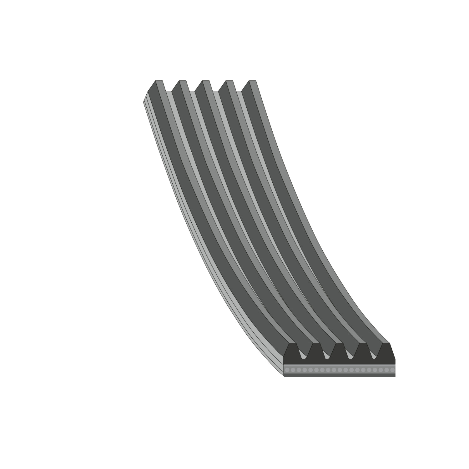 V-Ribbed Belt