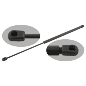Gas Spring for tailgate