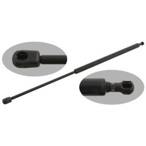 Gas Spring for tailgate
