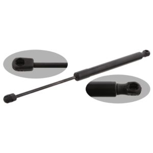 Gas Spring for tailgate