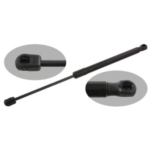 Gas Spring for tailgate