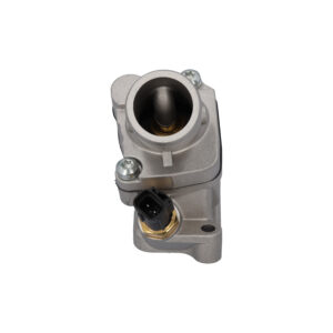 Thermostat with housing, seal and temperature sensor