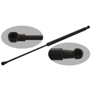 Gas Spring for tailgate